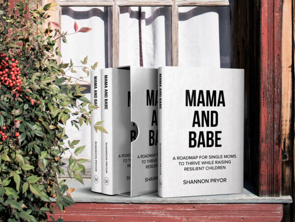 Mama and Babe: A Roadmap for Single Moms to Thrive While Raising Resilient Children