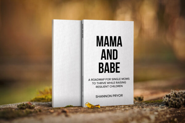 Mama and Babe: A Roadmap for Single Moms to Thrive While Raising Resilient Children