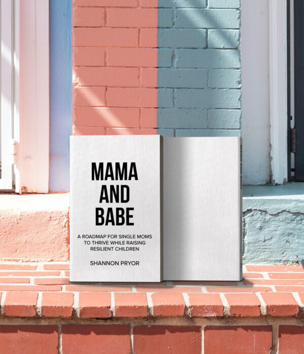 Mama and Babe: A Roadmap for Single Moms to Thrive While Raising Resilient Children