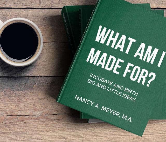 What Am I Made For? Book