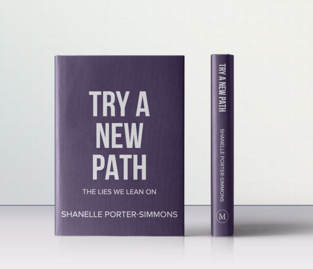 Try A New Path: A Real-World Guide to Dismantling Comfort, Defying Fear, and Defining Your Future